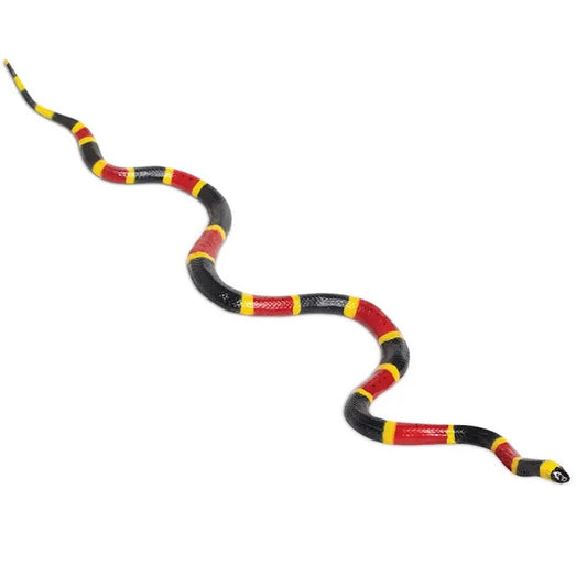 Coral Snake Incredible Creature