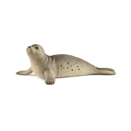 Seal