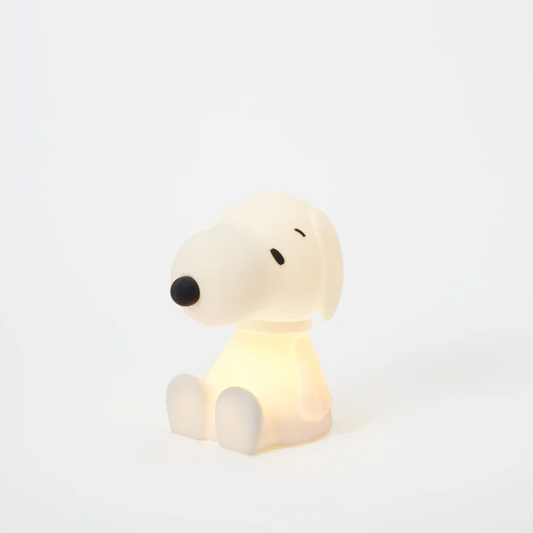 Snoopy Bundle Of Light