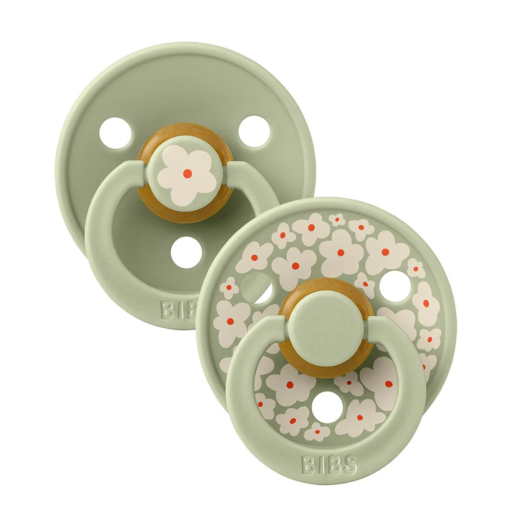 Bibs Dummy Twin Pack Jasmine Sage Mix Round S2 – Bill's Store