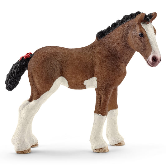 Clydesdale Foal